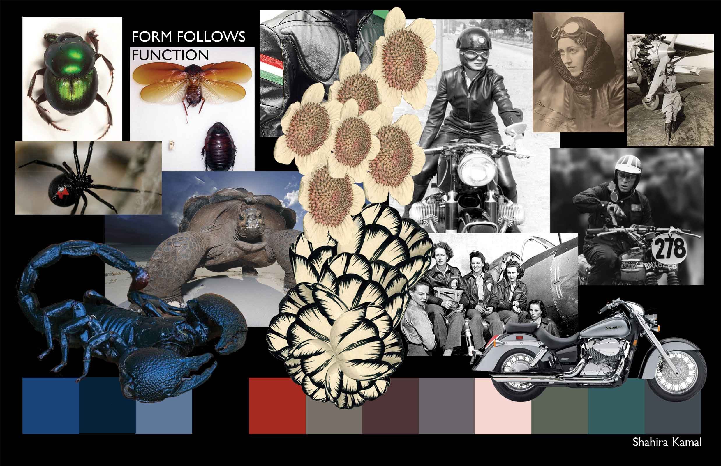 Form_Follows_Function_Concept_and_Color