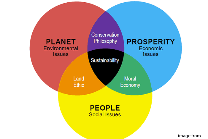 Sustainability_Diagram_Hedgehog_Review